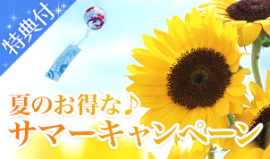 夏のお得な♪サマーキャンペーン