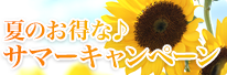 夏のお得な♪サマーキャンペーン