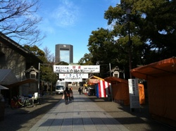 富岡八幡宮1.jpg