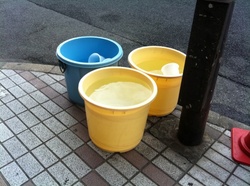 水かけバケツ.jpg