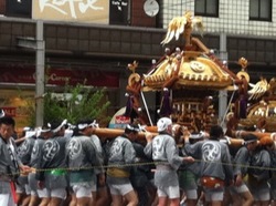 深川八幡祭り神輿渡御6.jpg