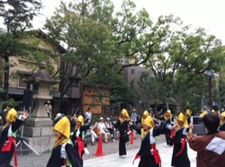 深川よさこい祭り富岡八幡宮3.jpg