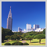 写真:新宿御苑